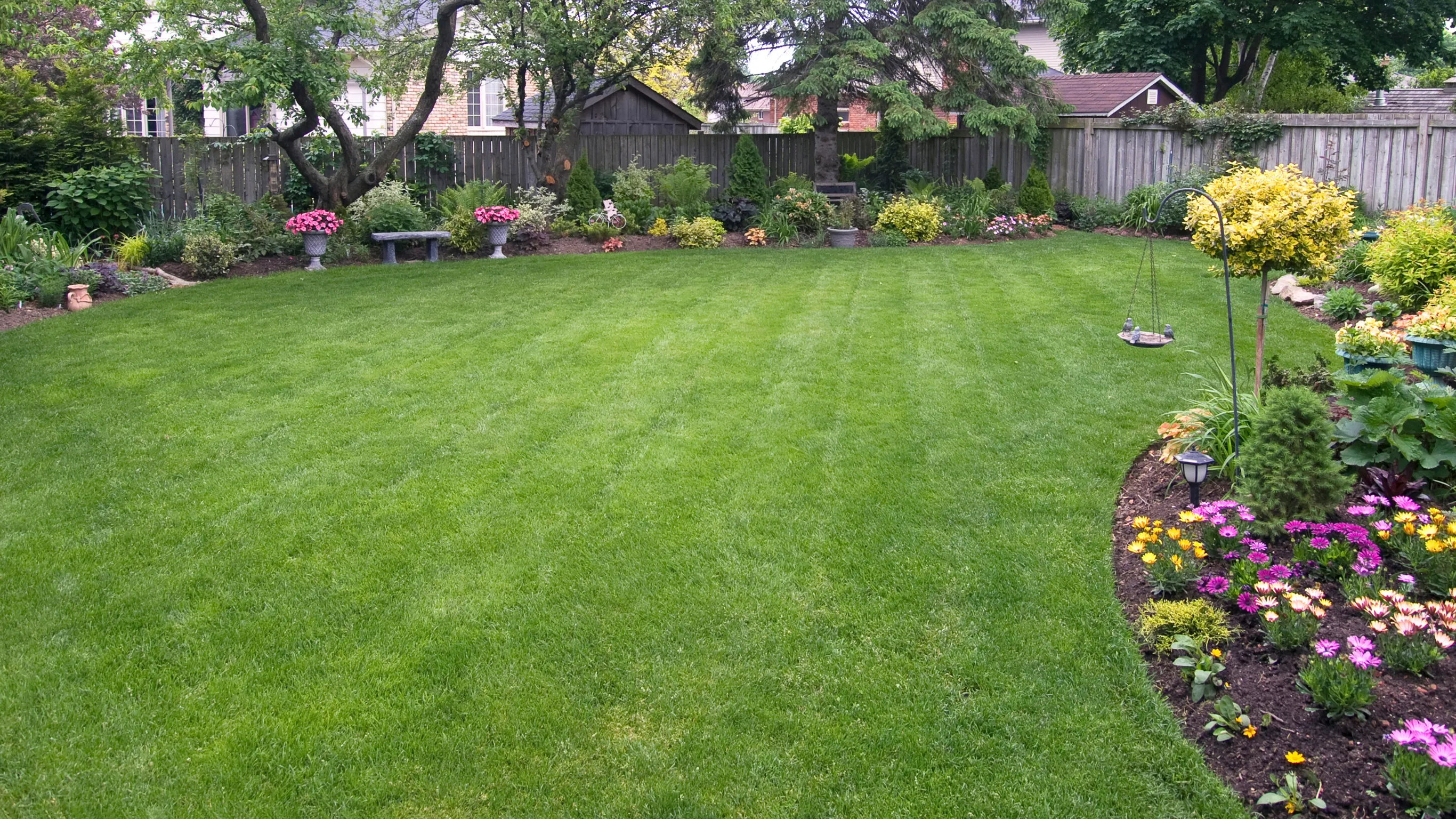 Before ADU construction showing empty backyard space with old landscaping and no structures